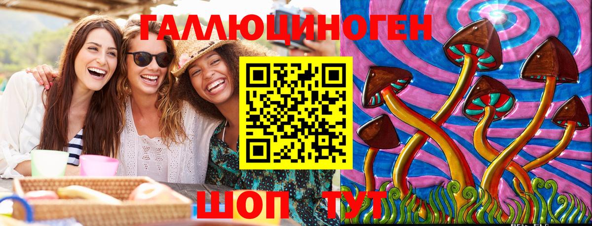Псилоцибиновые грибы GOLDEN TEACHER  Галлюциногенные грибы Psilocybe  Чебоксары  цена   Вход с VPN 